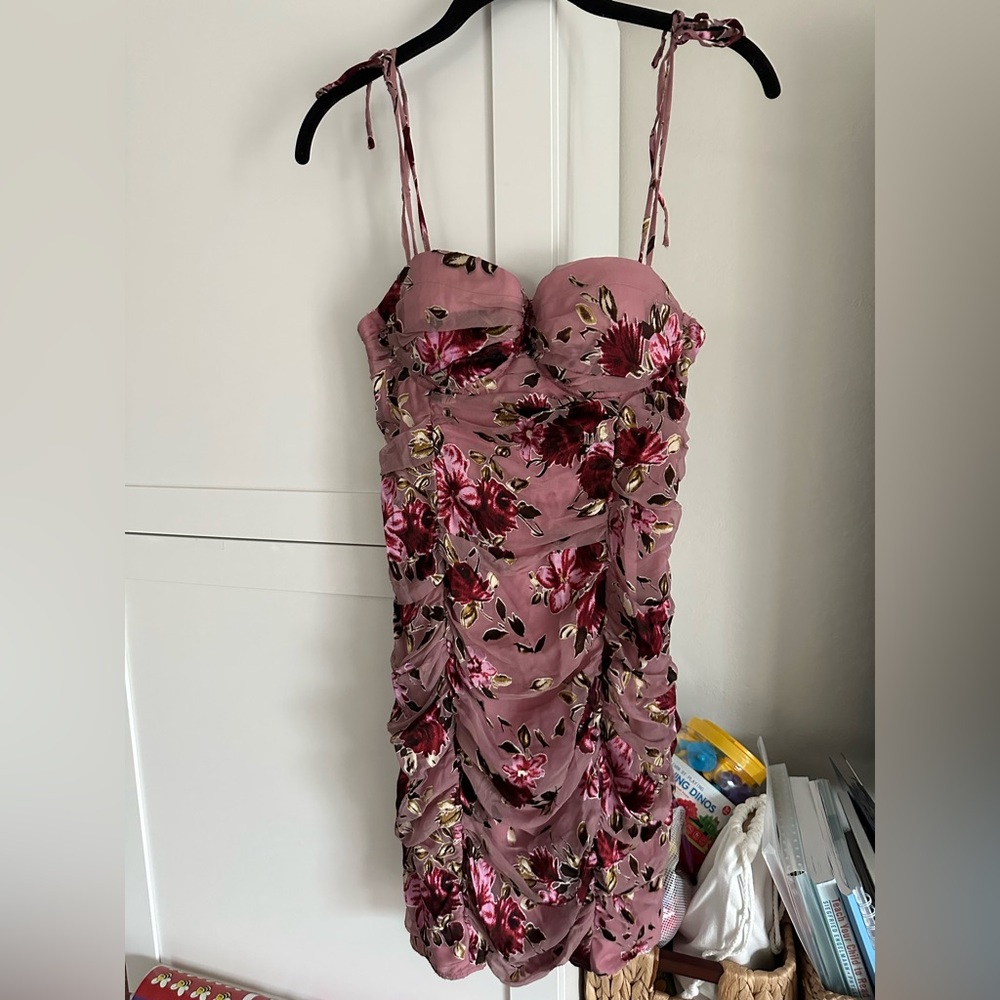 LPA Roses on Rose Rouched Mini Dress